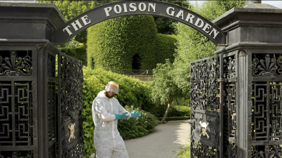 PoisonGarden8.12PM.png (1.13 MiB) Zobrazeno 1474 x PoisonGarden8.12PM.png