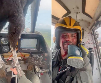 A-huge-bird-struck-a-military-plane-leaving-the-pilot-injured.jpg