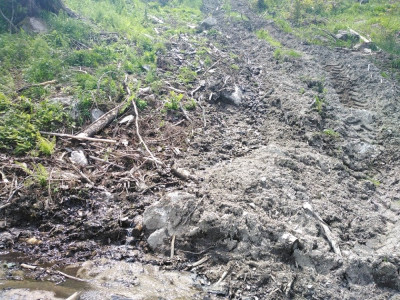 IMG_20200630_141341 (1).jpg