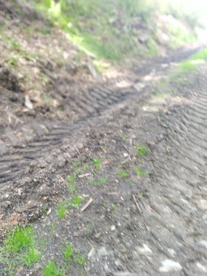 IMG_20200630_135802 (2).jpg