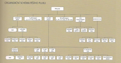 Organizační_schéma_pěšího_pluku.jpg