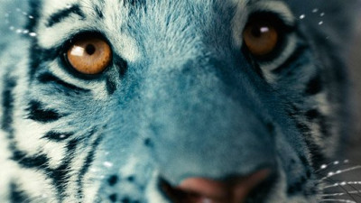 465272835_582083880831115_1125098831056784071_n.jpg (39.3 KiB) Zobrazeno 3148 x 465272835_582083880831115_1125098831056784071_n.jpg