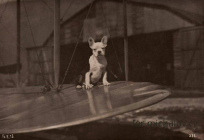 Snímek obrazovky 2024-11-15 115540uzu.jpg