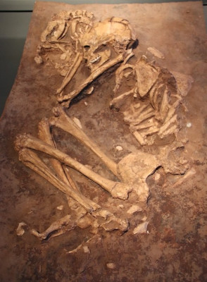 Burial_of_Woman_&_Dog,_Natufian_Culture,_Cast_(28347076597).jpg