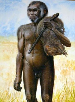 menehune-h-floresiensis.jpg