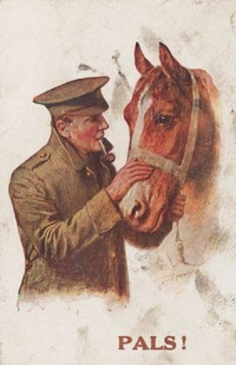 Horse and Man poster PALS.jpg