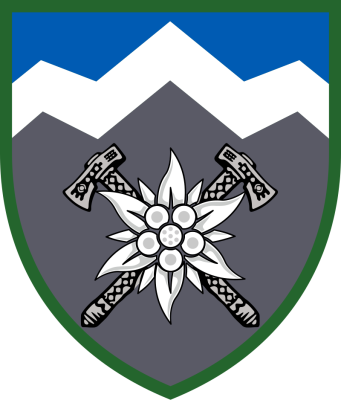 10th_Mountain_Assault_Brigade_Insignia_(UA).svg.png