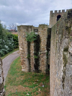 Smederevo věž devíti bratrů.jpg