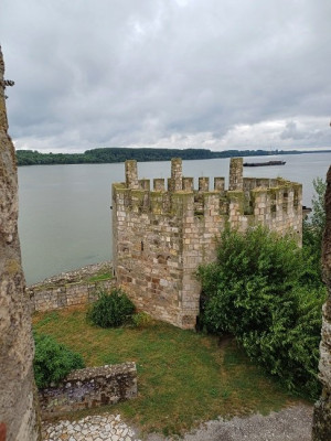 Smederevo dělostřelecká věž.jpg