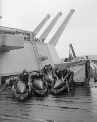 Rodney_projectiles_pic 406mm.jpg