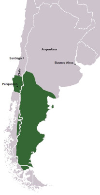 Reino_de_la_Araucanía_y_la_Patagonia.jpg