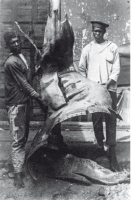 Snímek obrazovky (17).png