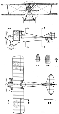 ANSALDO A.1 BALILLA layout.png