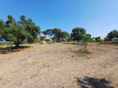 Pontikokastro 20250709_110201.jpg