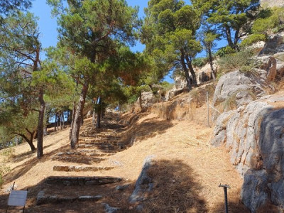Kyparissa cesta.jpg