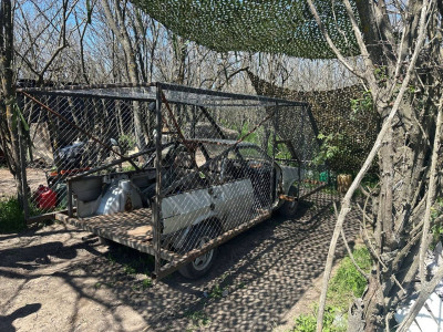 IMG_7556.jpeg
