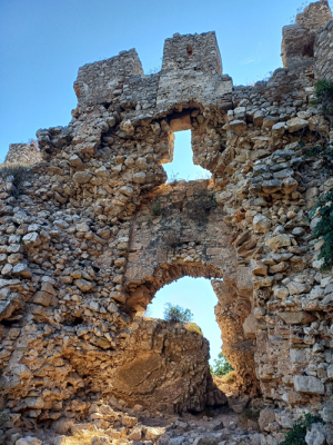 Navarino  vstup 1.png