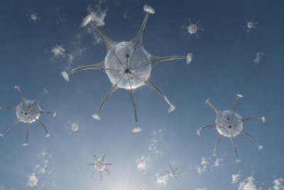 system-Meduza.jpg