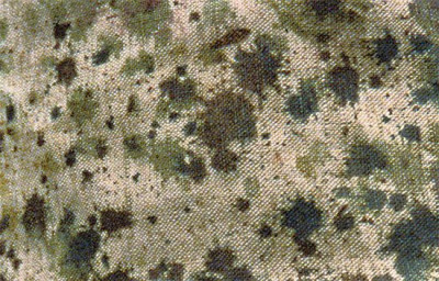 Hand-painted-French-Camouflage-Eugene-Corbin-1914.jpg